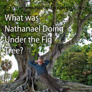 6.3 What was Nathanael Doing Under the Fig Tree