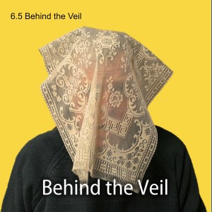 6.5 Behind the Veil