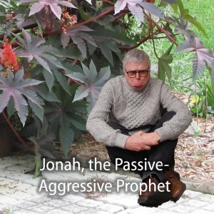 5.2 Jonah, the Passive Aggressive Prophet