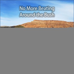 6.4 No More Beating Around the Bush