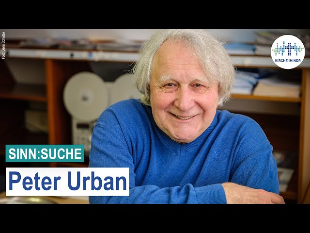 Sinn:Suche