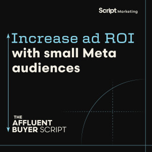 Increase Ad ROI with Small Meta Audiences