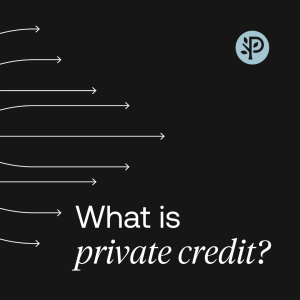 What is Private Credit in Commercial Real estate? | Peachtree Point of View