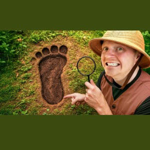 I Hunted Bigfoot Overnight
