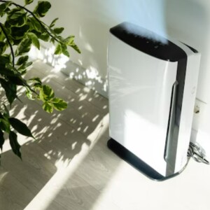 Stop Allergens in Your Home! How to Install the Best 8x16x2 Air Filter for Cleaner, Healthier Indoor Air