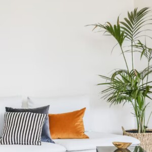 Improve Indoor Air Quality with Amana 16X25x5 	: High-Performance Filtration for a Cleaner, Healthier Home
