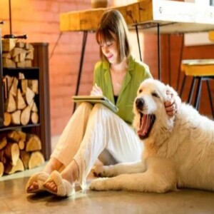 Tired of Pet Dander? Best 12x26x1 Air Filter Picks | Breathe Easy with Top Filters that Fight Pet Allergens at Home