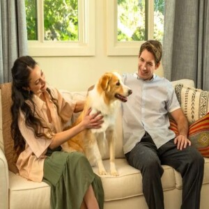 Breathe Better with 20x22x5 Air Filters - Nordyne for Superior Air Quality