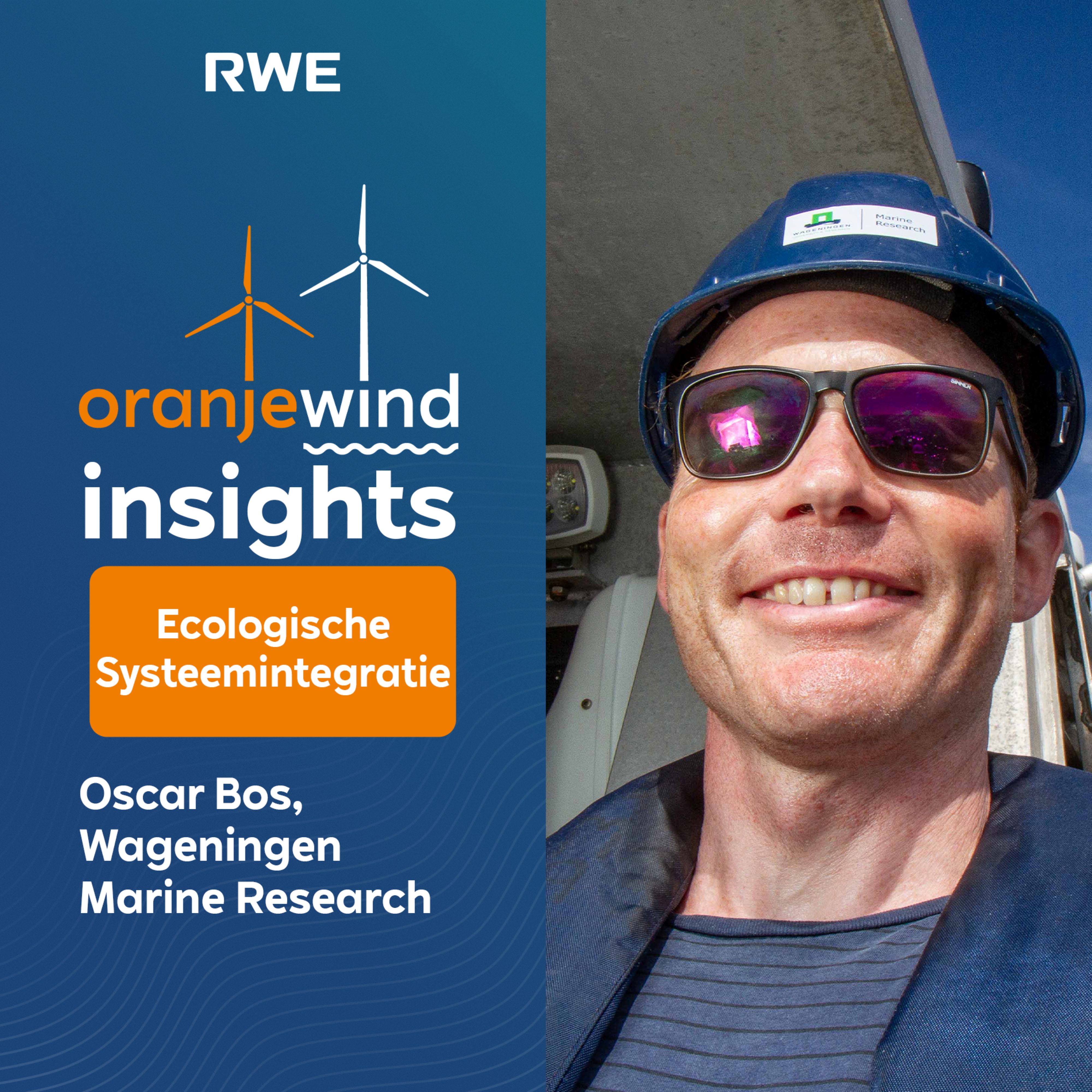 OranjeWind Insights