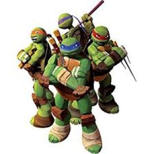 #19 Lessons from the Turtles