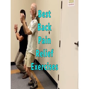 Back Pain Relief Exercises. @ Gibson Oct. '19. Crooked Spine Show
