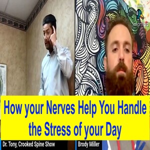Want to Handle the Stress of your Day? Learn to Keep your Nerves Healthy on Brody Miller’s Neural Transformations Interviews