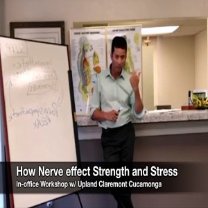 Strength & Stress: How Nerves Control Them. In-office. Aug '18