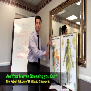 How your Nerve make your Body Stress. In-office Talk May '19 @Euclid Chiropractic. Crooked Spine Show