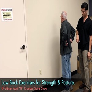 Low Back Exercises w/ Posture. @Gibson April '19 | Crooked Spine Show