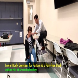 Leg and Lower Body Strength for Posture @Gibson Feb. '18. #crookedspineshow