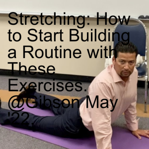 Stretching: How to Start Building a Routine with These Exercises. @Gibson May ’22.