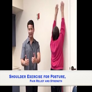 Help get Your Shoulders Pain-free and Strong. Gibson Workshop replay March '19