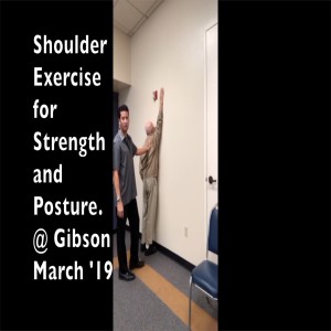 Shoulder Exercises for Pain Relief and Posture. @Gibson March '19. Crooked Spine Show