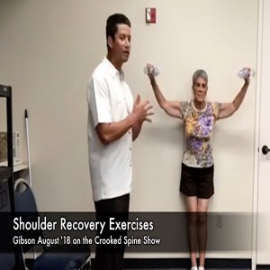 Shoulder Pain & Injury Recovery @Gibson Aug. '18 | #crookedspineshow