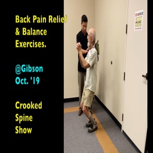 Best Back Exercises for Pain Relief and a Better Life. @ Gibson Oct. '19. #crookedspineshow