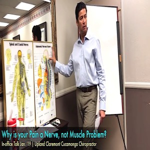 Understanding your Nerves Connection to Health. In-office Jan ‘19 replay. Crooked Spine Show