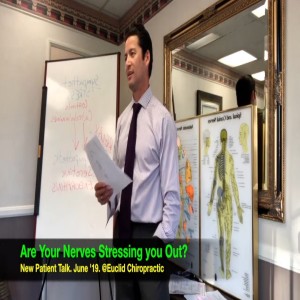 How Chiropractic Works to Return Your High Quality of Life. In-office Talk May ’19.