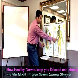 How your Nerves keep you Strong and Relaxed. In-office April '19. Crooked Spine Show