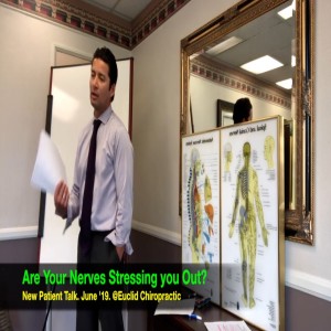 How your Nerves REALLY Stress You Out. In-office Talk May '19. Crooked Spine Show