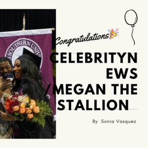 celebrity news /Megan the stallion