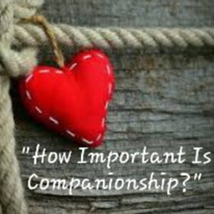 S2/Ep.29 ”How Important Is Companionship”