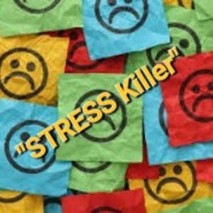 S3/Ep.8 ”STRESS Killer”