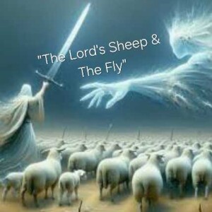 S4/Ep.34 ”The Lord’s Sheep & The Fly”