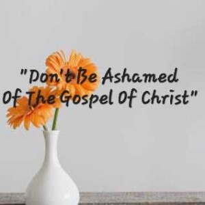 S5/EP.15 ”Don’t Be Ashamed Of The Gospel Of Christ”