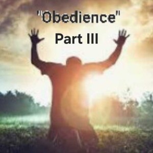 S5/Ep.20 ”Obedience Part III”