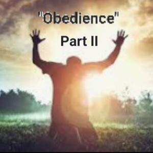 S3/Ep.33 ”Obedience Part II”