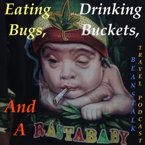 Episode #19 - Bangkok Pt. 2: Eating Bugs, Drinking Buckets, and A "Rasta Baby".