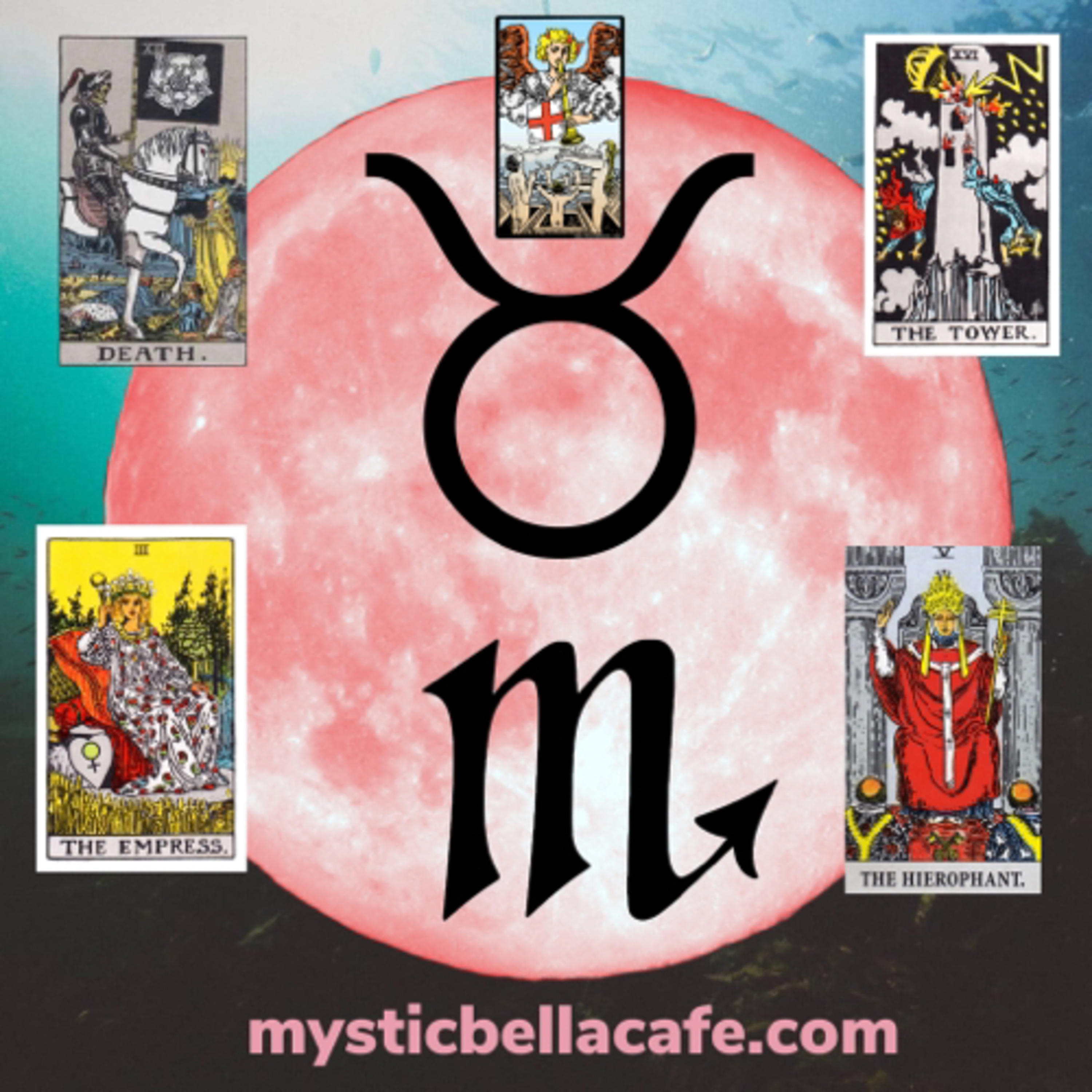 Cafecito and Tarot• A Daily Tarot Podcast