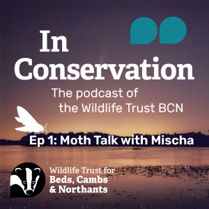 Episode 1: Moth Talk with Mischa