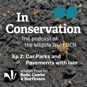 Episode 2: Car Parks and Pavements with Iain