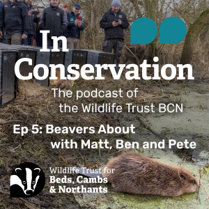 Episode 5: Beavers About with Matt, Ben and Pete