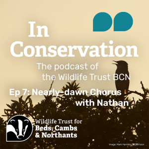 Episode 7: Nearly-dawn Chorus with Nathan