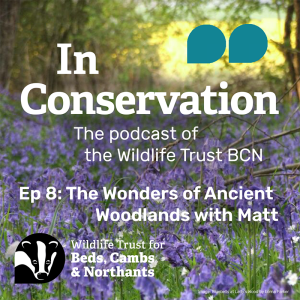 Episode 8: The Wonders of Ancient Woodland with Matt