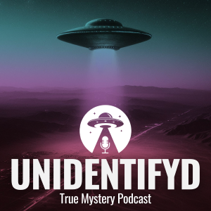 #0.5 UFOs oder UAPs?