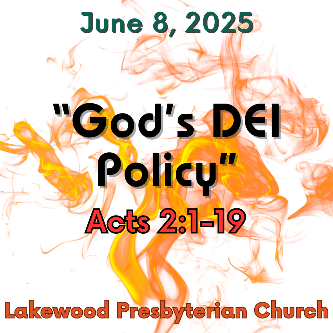 "God's DEI Policy"