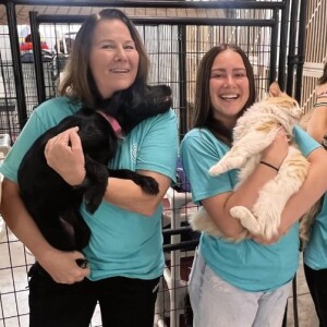Local Spanish Fork Animal Rescue Now Offers Free Dog and Cat Food to Families in Need