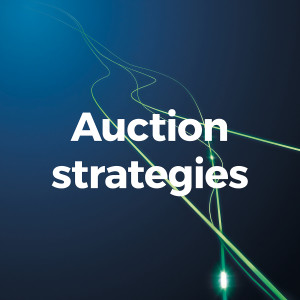 Auction strategies