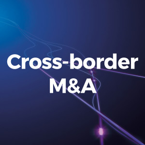 'Wait, what?' moments in cross-border M&A