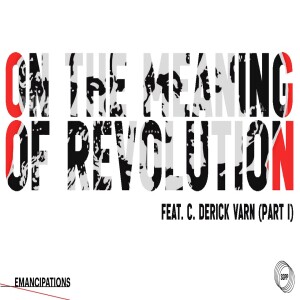 On the Meaning of Revolution feat. C. Derick Varn (Part II)