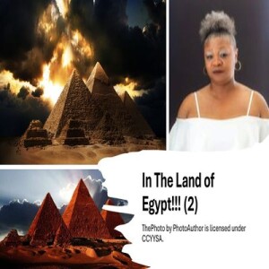 In The Land of Egypt!!!(2)